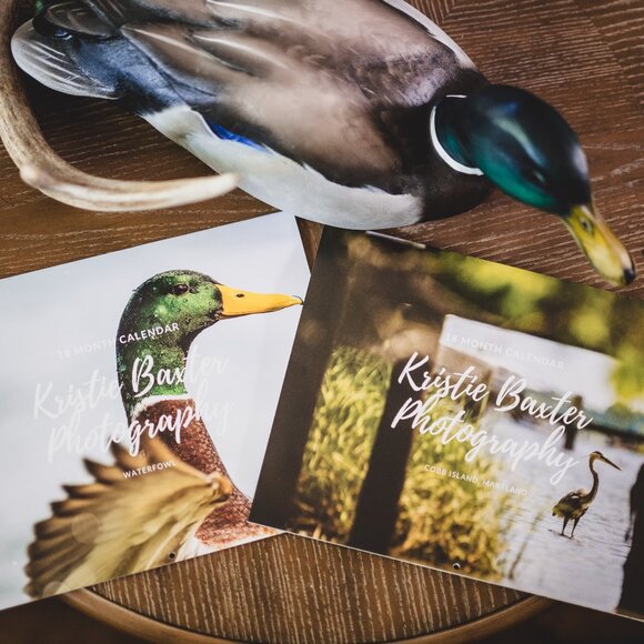 Other - 🦆 2026 Calendars – Cobb Island, MD & Waterfowl Photography 🏝️